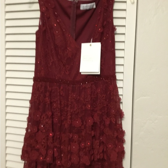 Elegant Red Lace Tiered Dress - Picture 6 of 7
